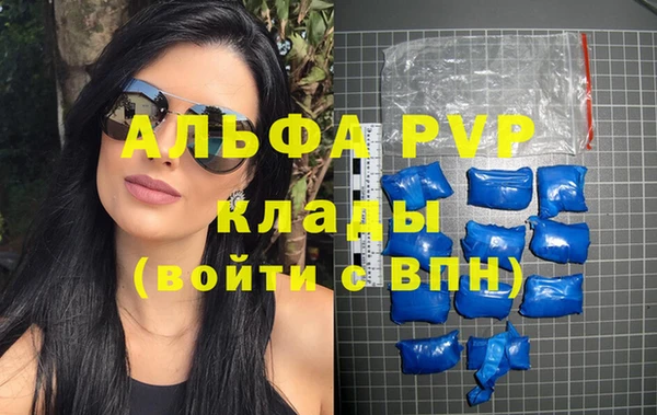 стафф Белокуриха